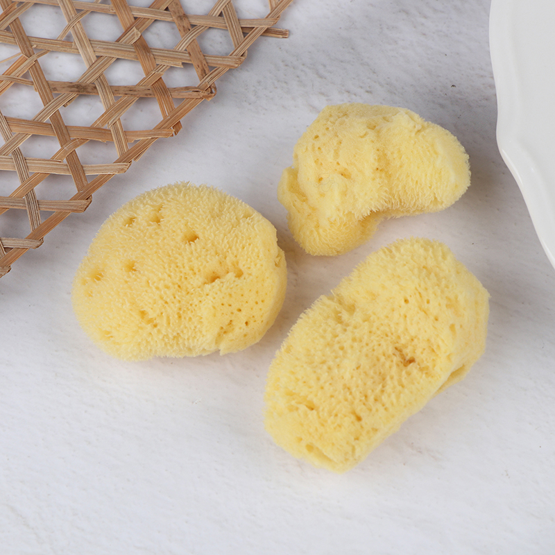 Special Texture Production Cle - Eco Sponge 评论和价格